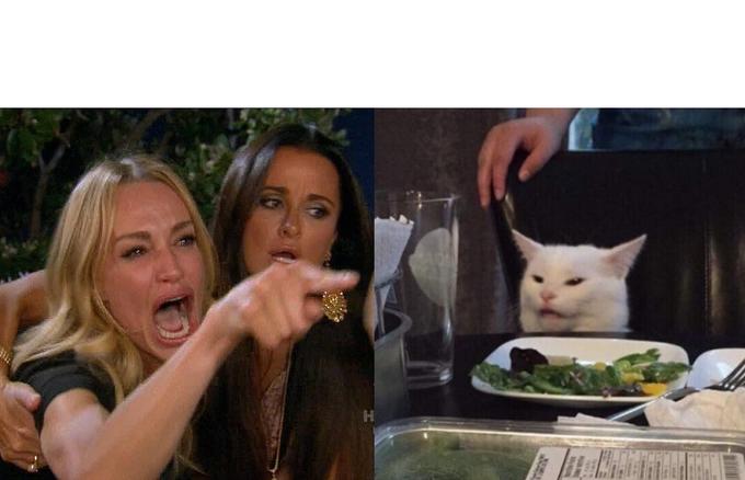 Woman Yelling at Cat meme origin